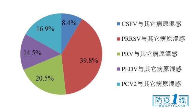 D2  iĻϸȾry(tng)Ӌ(j)